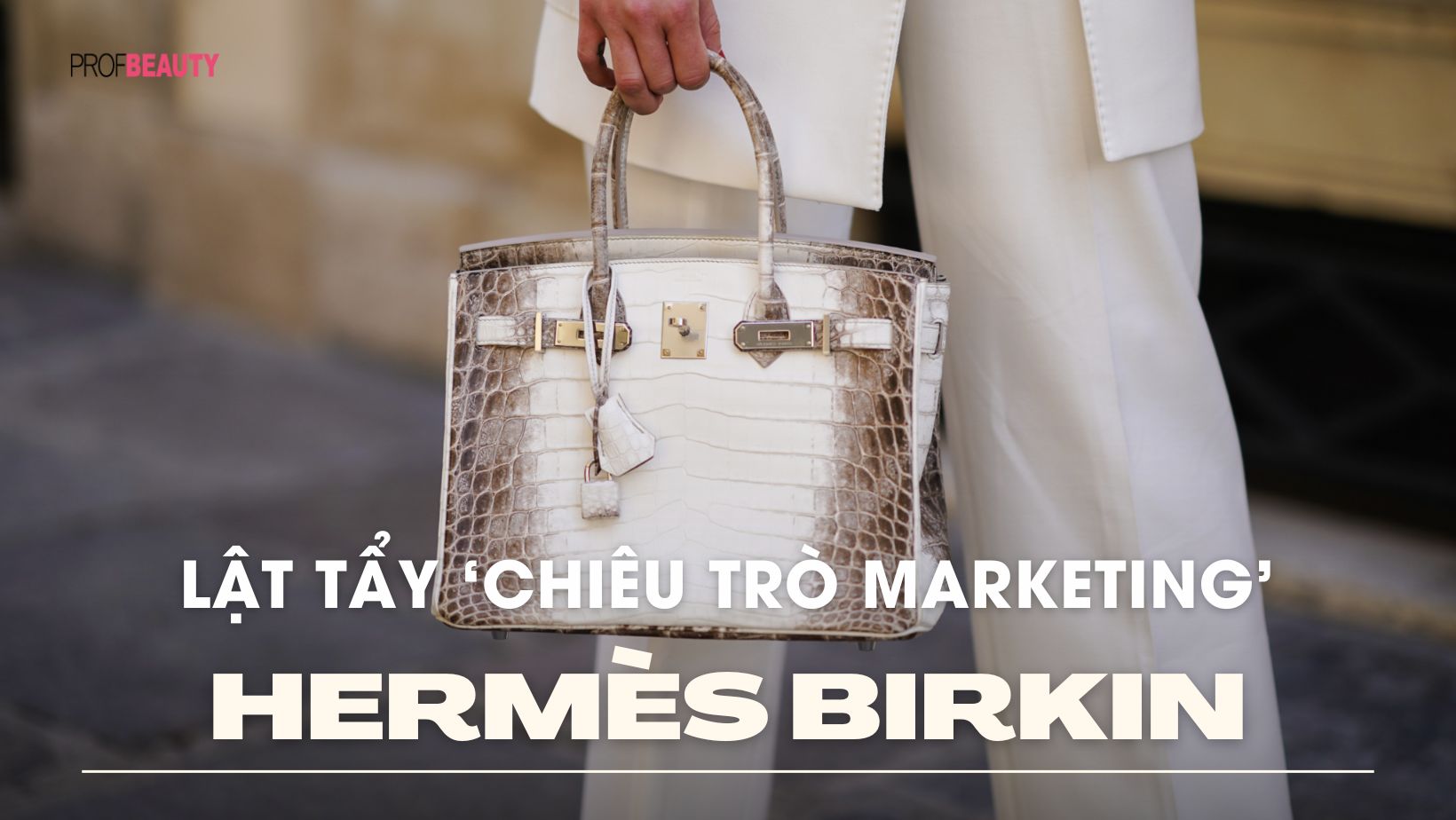 Hãng thời trang Hermès bị kiện vì không cho phép người dùng mua túi Birkin